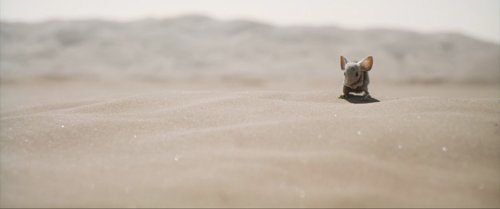 dune_part_two_frames_frame_91.jpg