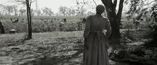 emancipation_frame_1749597778.4101942.jpg