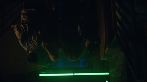 euphoria_frame_1740173731.0063877.jpg