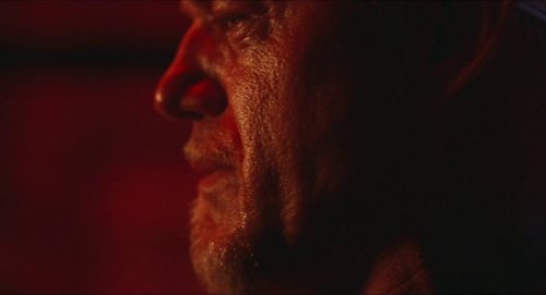 euphoria_frame_1740175394.2112212.jpg