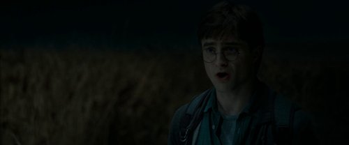 harry_potter_and_the_deathly_hallows:_part_1_frame_1739128003.2968967.jpg
