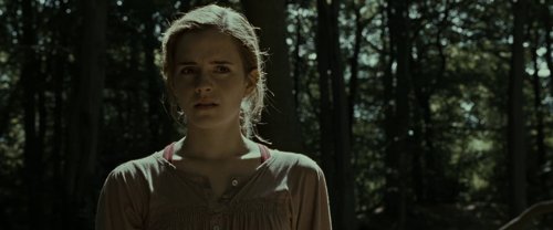 harry_potter_and_the_deathly_hallows:_part_1_frame_1739128013.4351594.jpg