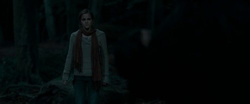 harry_potter_and_the_deathly_hallows:_part_1_frame_1739128014.404487.jpg