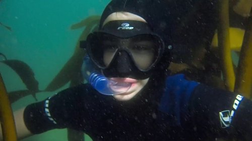 my_octopus_teacher_frame_1749598611.097288.jpg