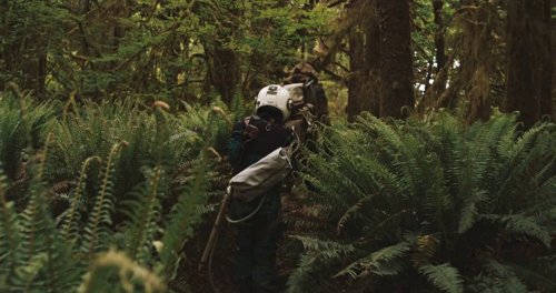 prospect_frame_1749600484.7776294.jpg