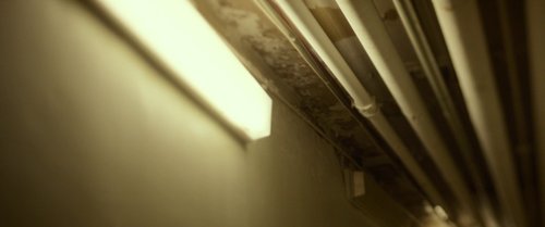 split_frame_1749598055.578924.jpg