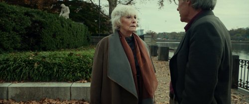 split_frame_1749598059.7924707.jpg
