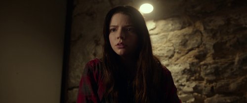 split_frame_1749598060.5200088.jpg