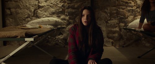split_frame_1749598060.8610241.jpg