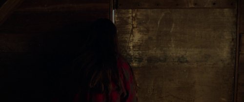 split_frame_1749598061.5719824.jpg