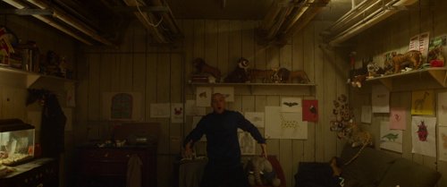 split_frame_1749598068.9514108.jpg