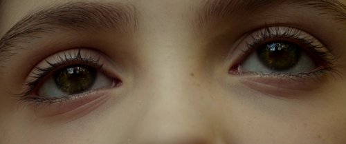 split_frame_1749598071.0969255.jpg