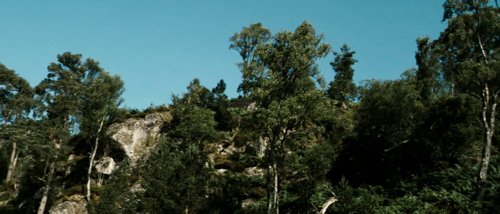 valhalla_rising_frame_1749598488.5922582.jpg