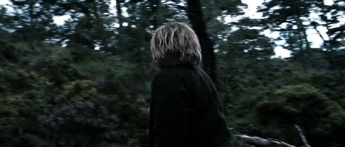valhalla_rising_frame_1749598495.3446171.jpg