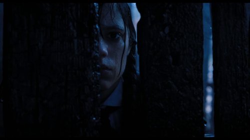 wednesday_frame_1738863460.4137795.jpg